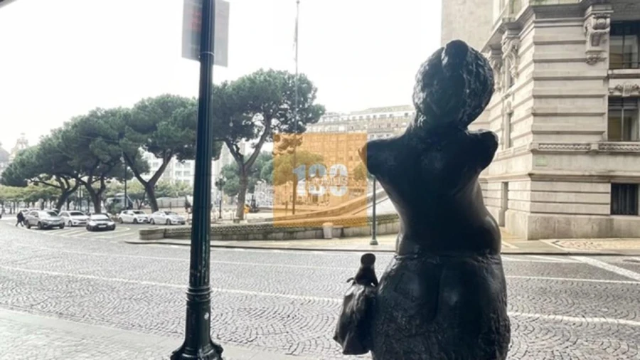 Apartamento T1 para Venda em Cedofeita, Santo Ildefonso, Sé, Miragaia, São Nicolau e Vitória Foto 21