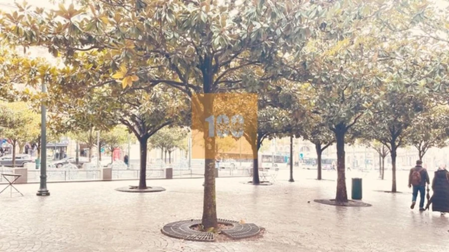 Apartamento T1 para Venda em Cedofeita, Santo Ildefonso, Sé, Miragaia, São Nicolau e Vitória Foto 24