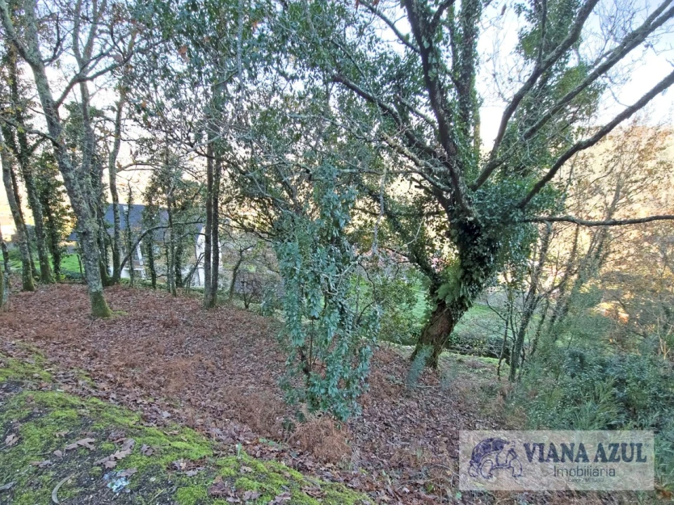 Terreno para Venda em Azere Foto 7