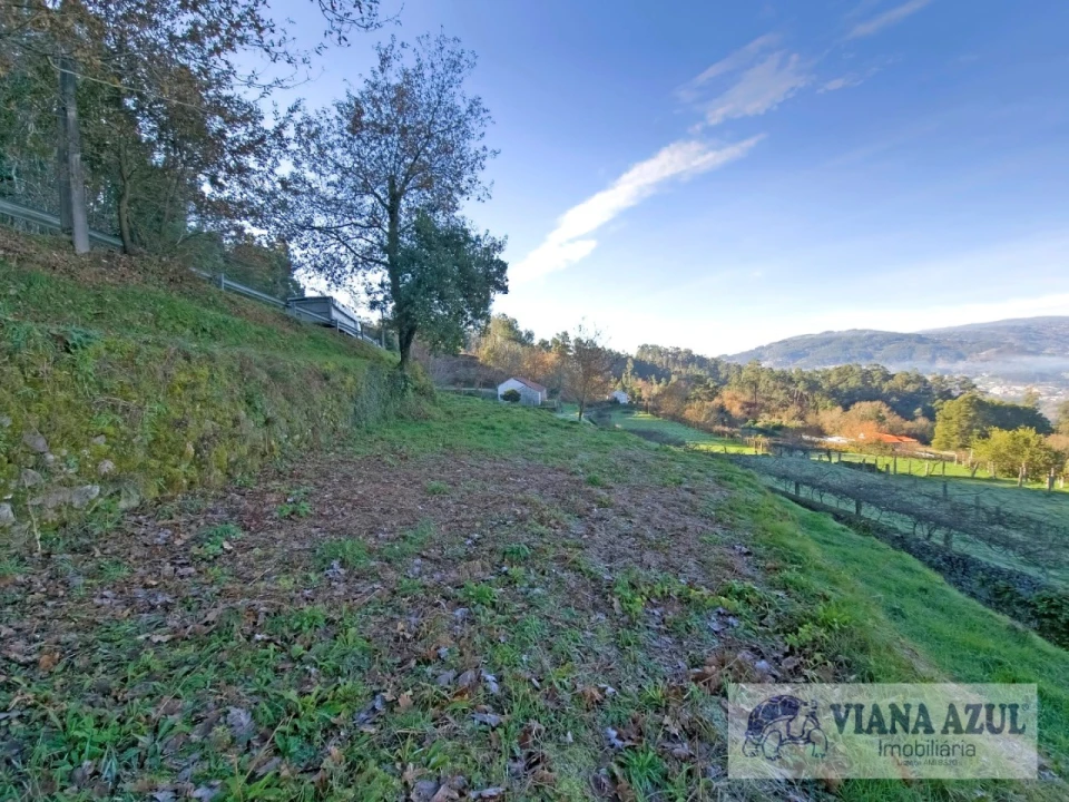 Terreno para Venda em Azere Foto 11