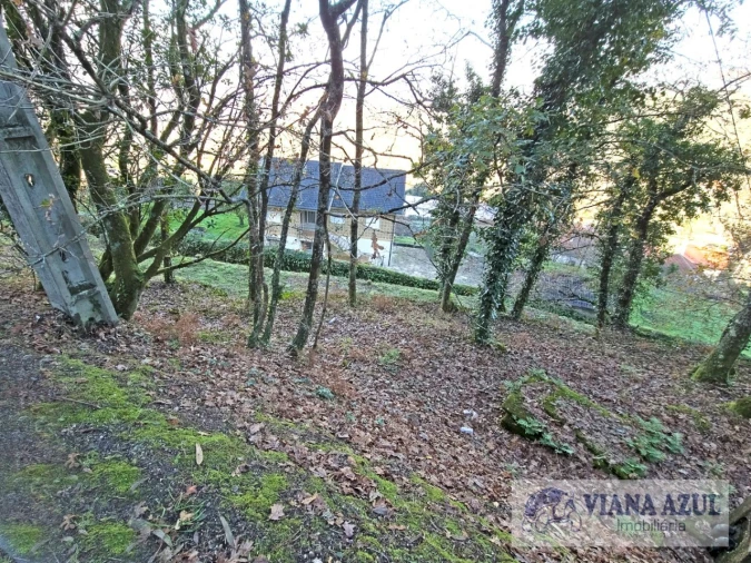 Terreno para Venda em Azere Foto 6