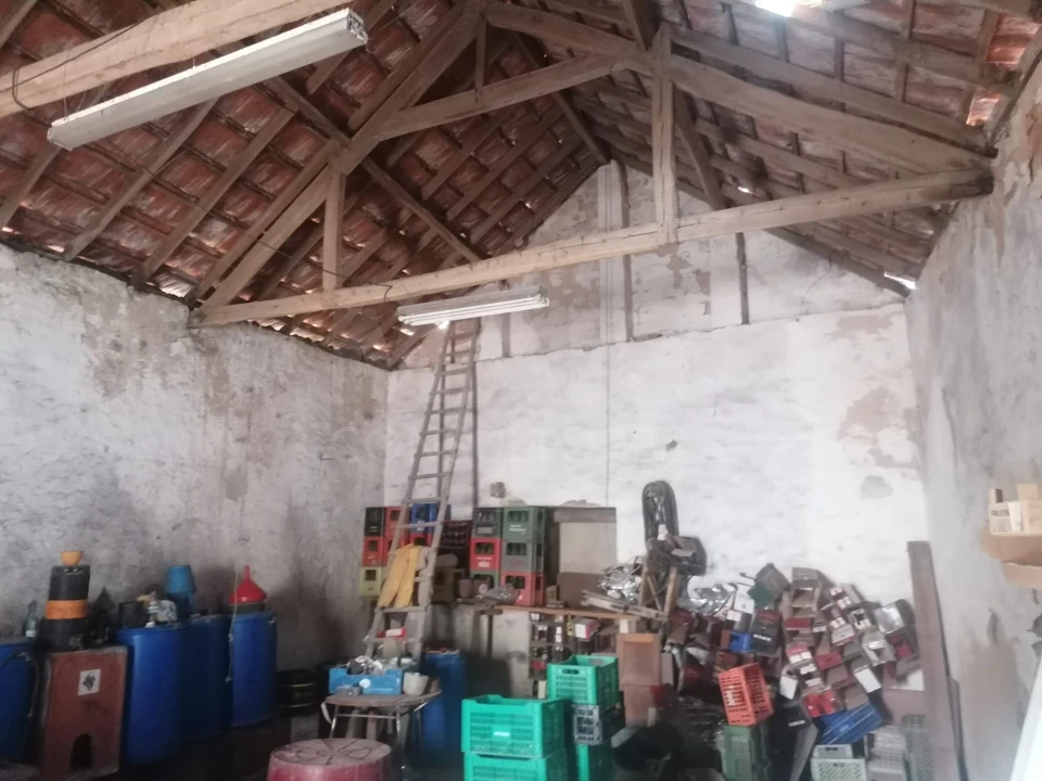 Loja para Venda em Ribafria e Pereiro de Palhacana Foto 4