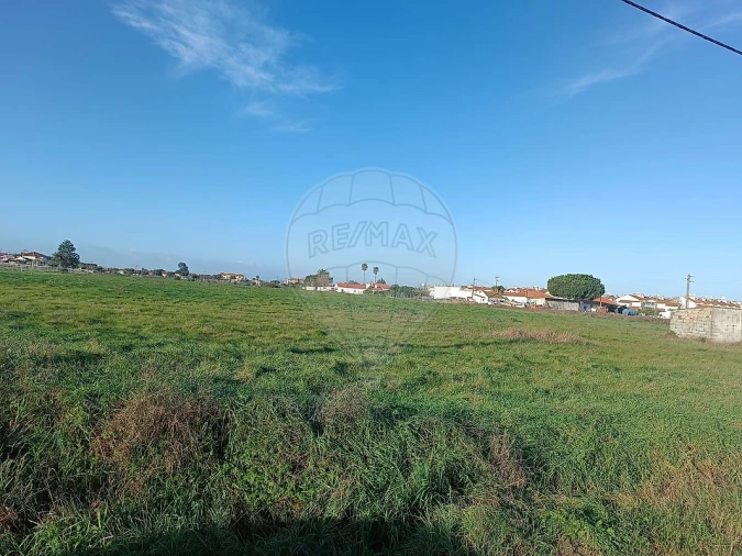 Terreno para Venda em Samora Correia Foto 15