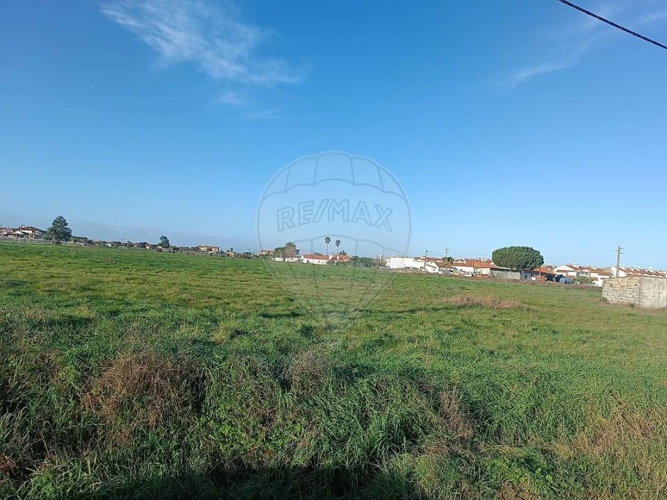 Terreno para Venda em Samora Correia Foto 15