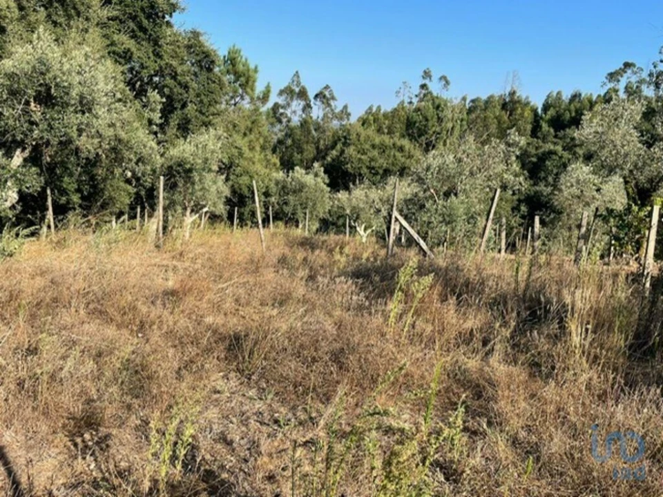 Moradia T2 para Venda em Arega Foto 9