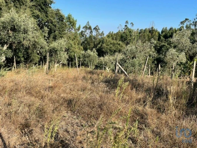 Moradia T2 para Venda em Arega Foto 9