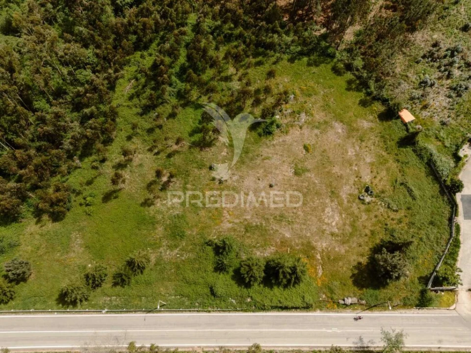 Terreno para Venda em Pinheiro Foto 7