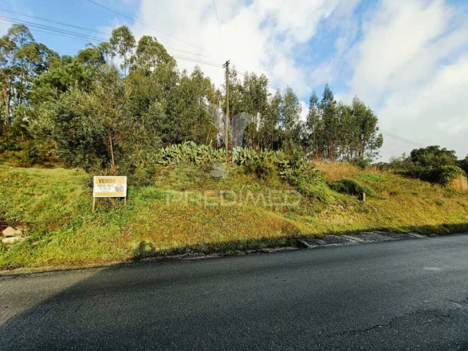Terreno para Venda em Nossa Senhora das Misericordias Foto 4