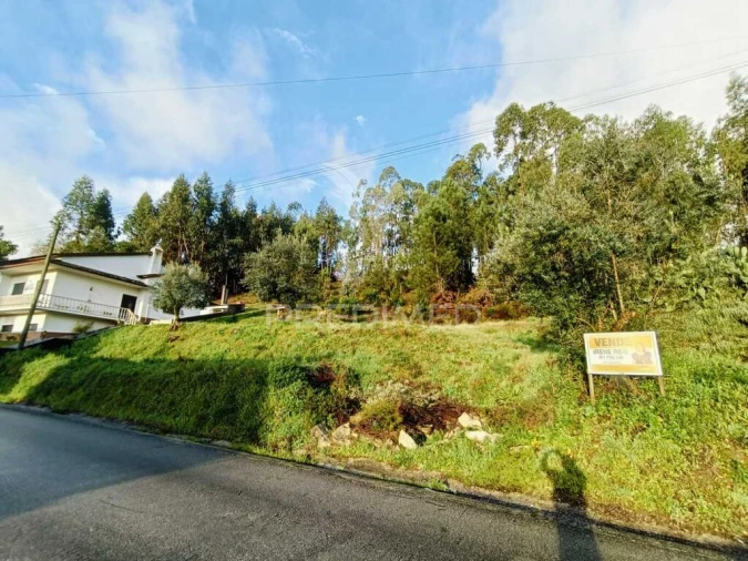 Terreno para Venda em Nossa Senhora das Misericordias Foto 8