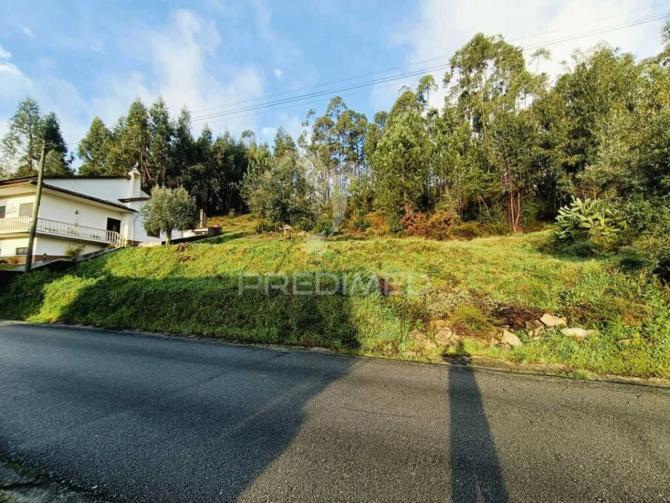 Terreno para Venda em Nossa Senhora das Misericordias Foto 5