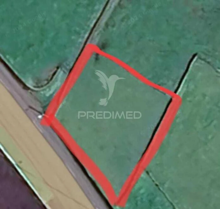 Terreno para Venda em Doze Ribeiras Foto 2