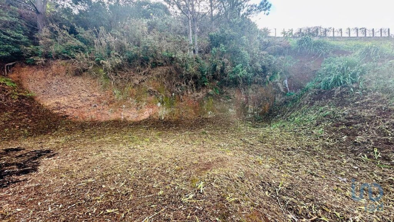 Terreno para Venda em Arco de São Jorge Foto 12