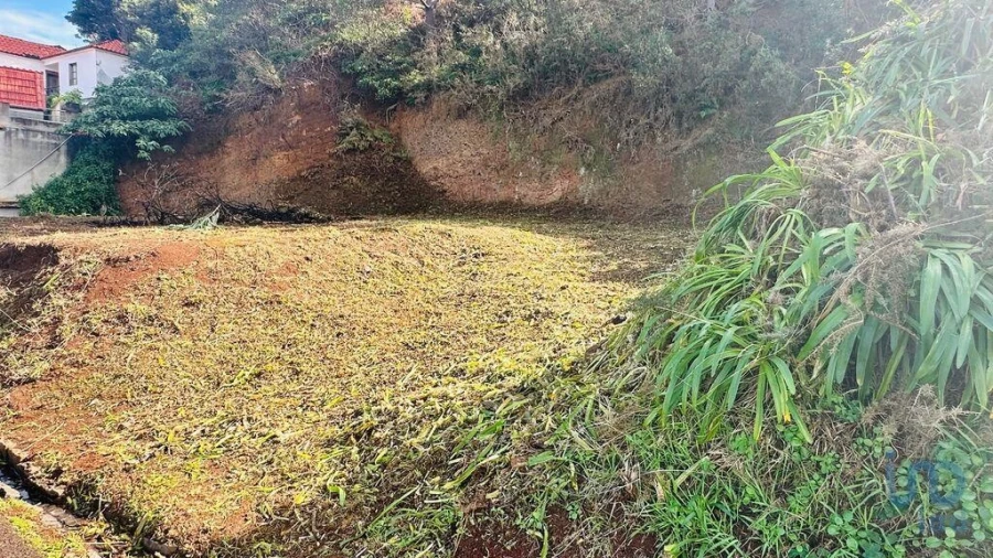 Terreno para Venda em Arco de São Jorge Foto 5