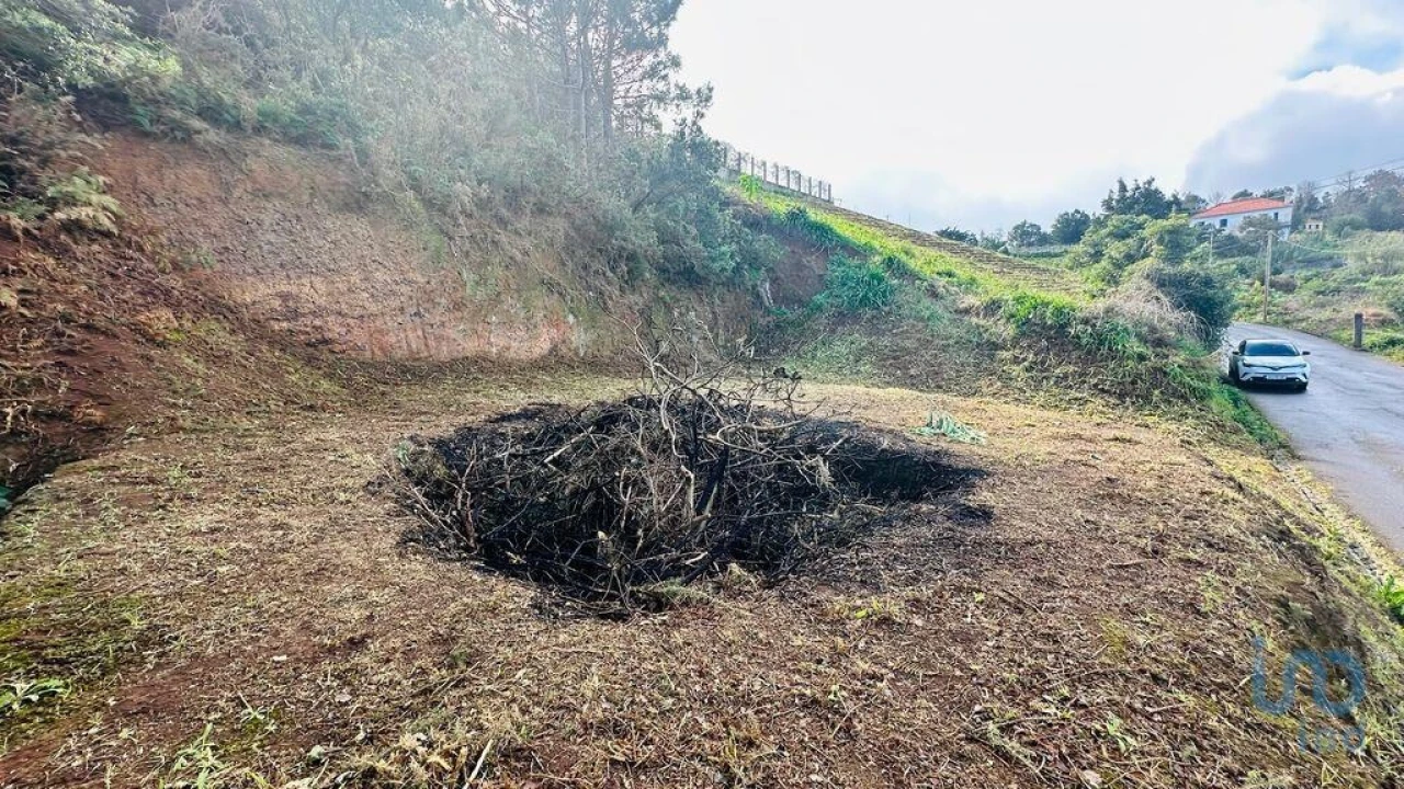 Terreno para Venda em Arco de São Jorge Foto 6