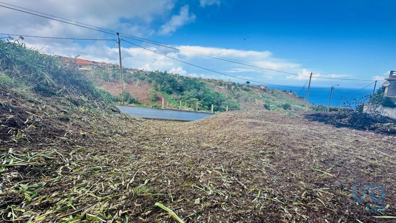 Terreno para Venda em Arco de São Jorge Foto 8