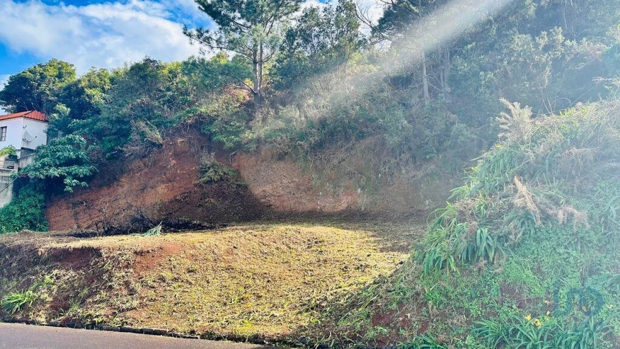 Terreno para Venda em Arco de São Jorge Foto 3