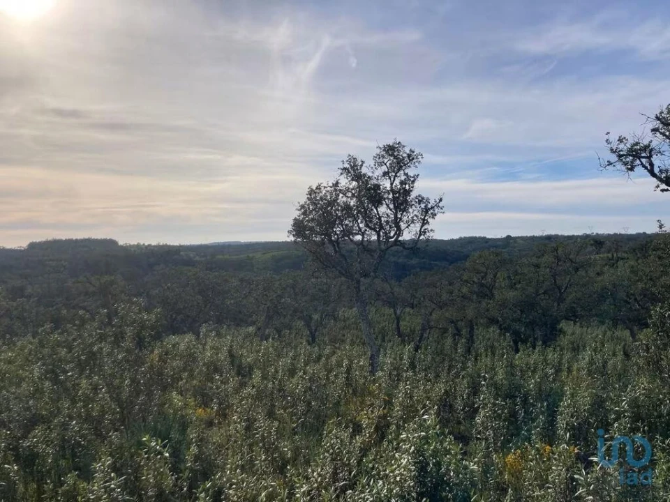 Moradia T2 para Venda em Santiago do Cacém, Santa Cruz e São Bartolomeu da Serra Foto 8