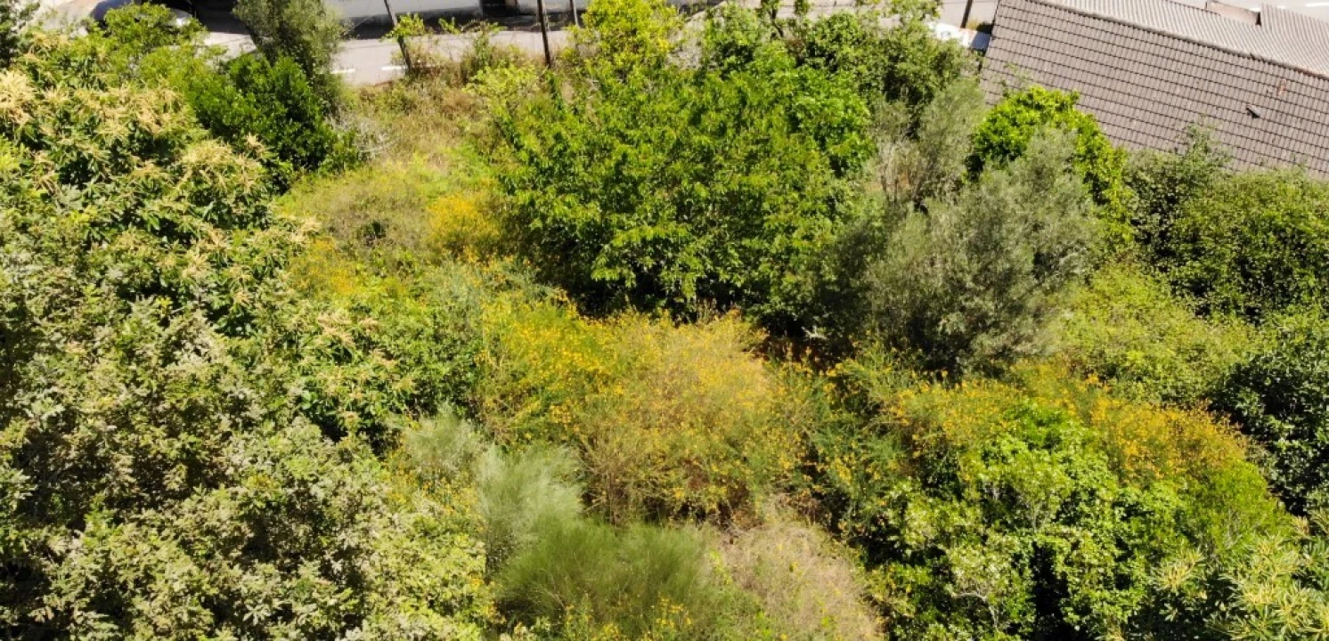 Moradia T4 para Venda em Mosteiro Foto 37