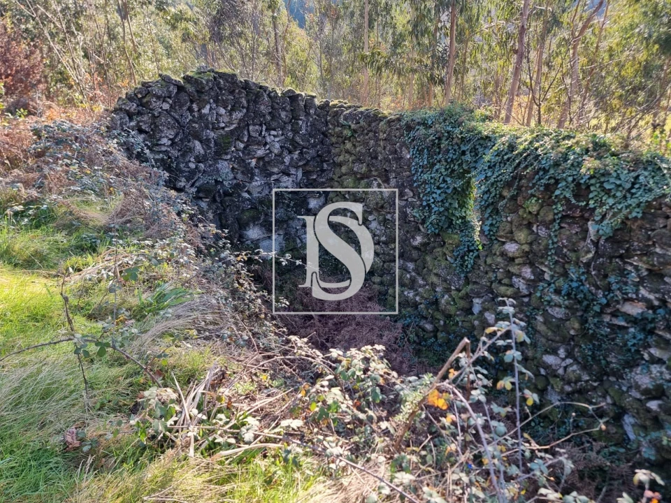 Terreno para Venda em Pinheiro Foto 3