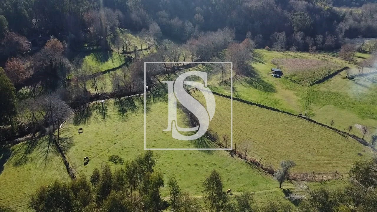 Terreno para Venda em Pinheiro Foto 19