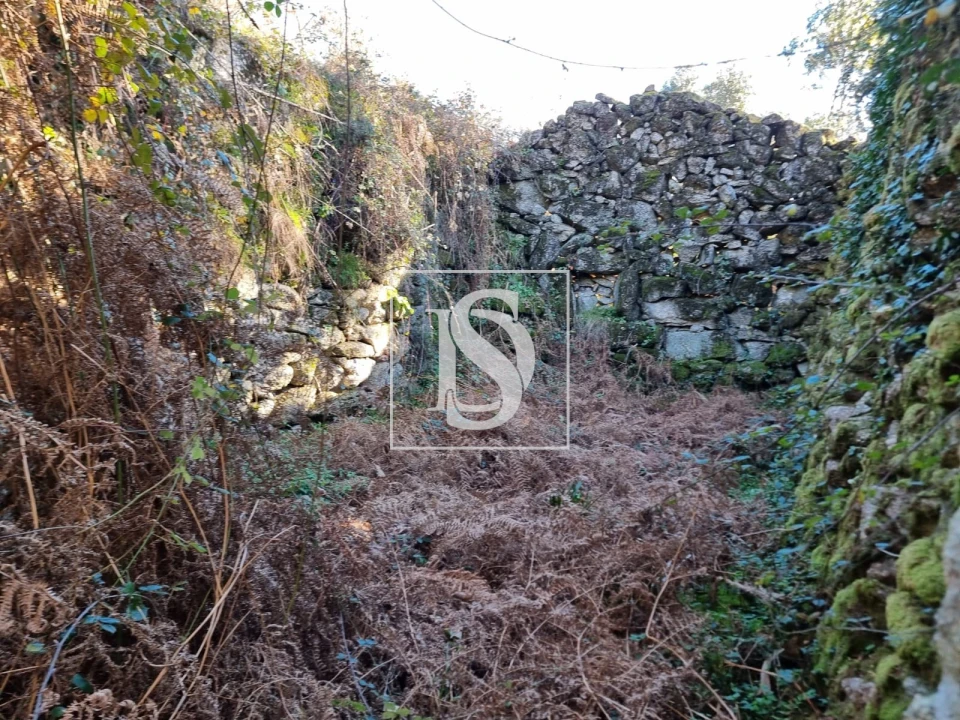 Terreno para Venda em Pinheiro Foto 8