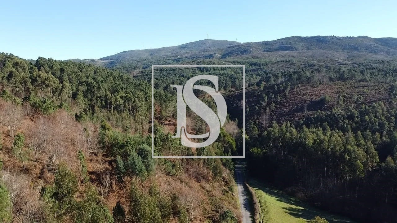 Terreno para Venda em Pinheiro Foto 18