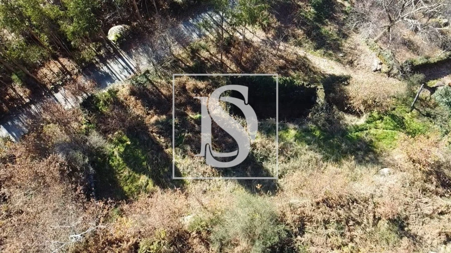 Terreno para Venda em Pinheiro Foto 16