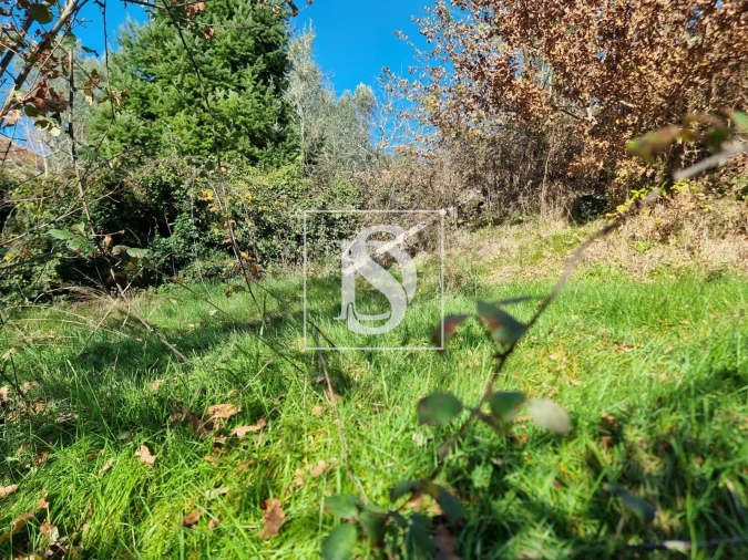 Terreno para Venda em Pinheiro Foto 7