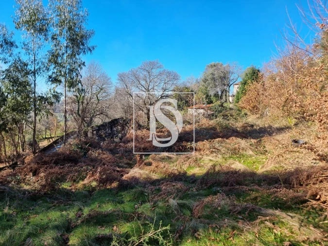 Terreno para Venda em Pinheiro Foto 2