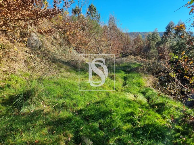 Terreno para Venda em Pinheiro Foto 5