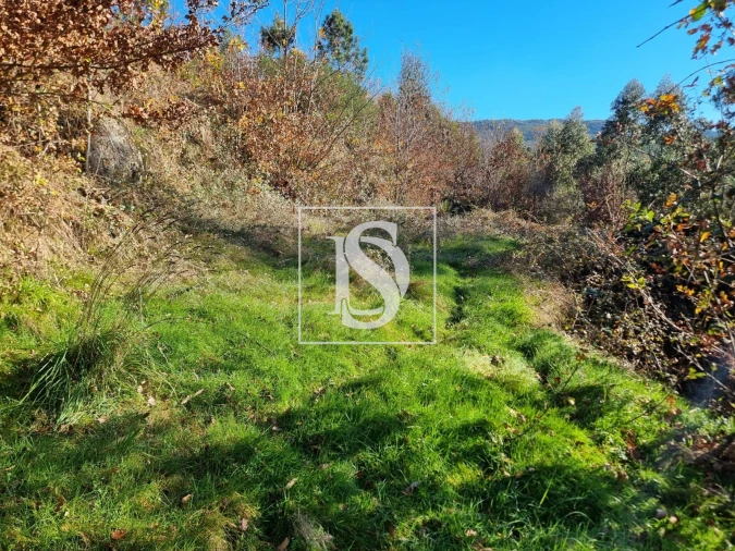 Terreno para Venda em Pinheiro Foto 6