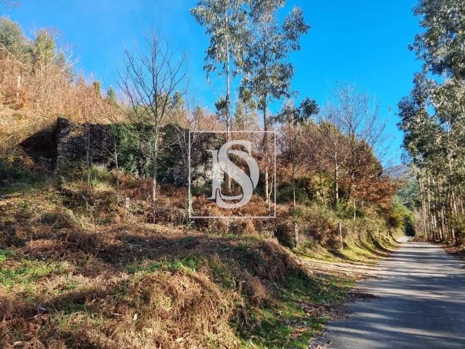 Terreno para Venda em Pinheiro Foto 9