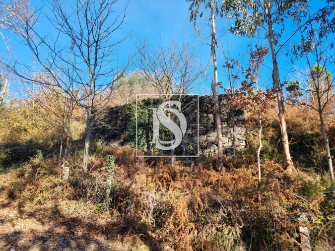 Terreno para Venda em Pinheiro Foto 11