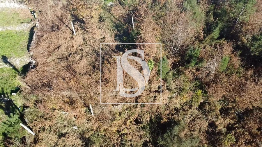 Terreno para Venda em Pinheiro Foto 17