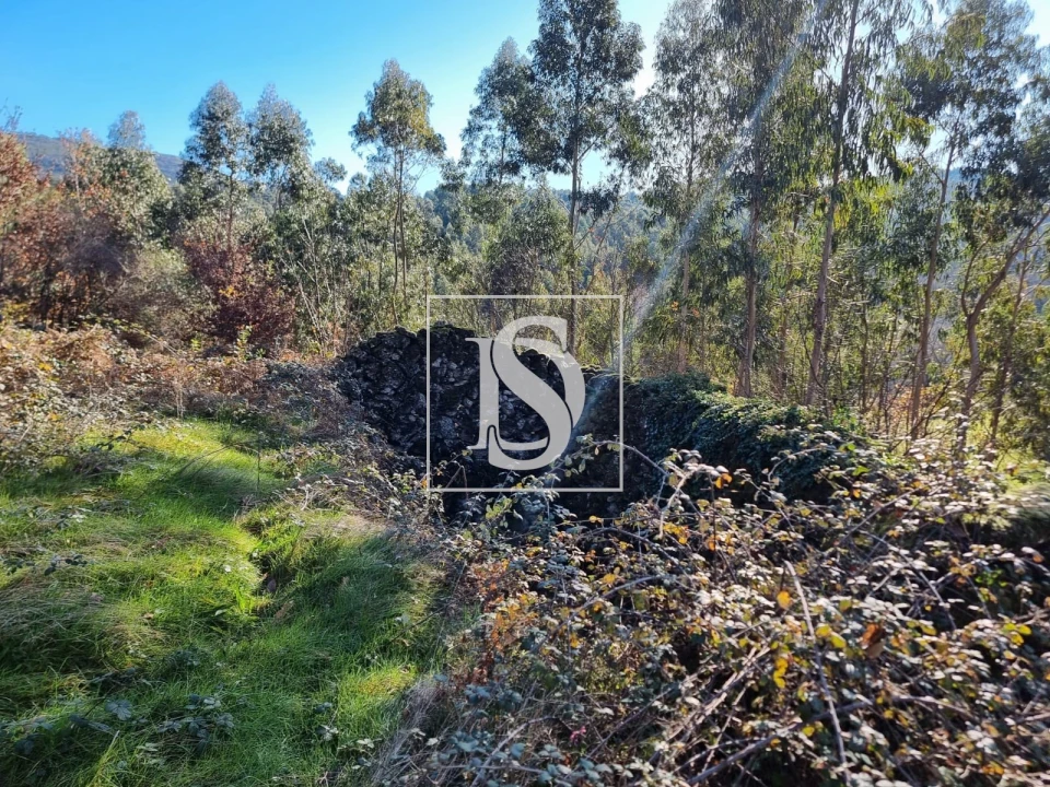 Terreno para Venda em Pinheiro Foto 4