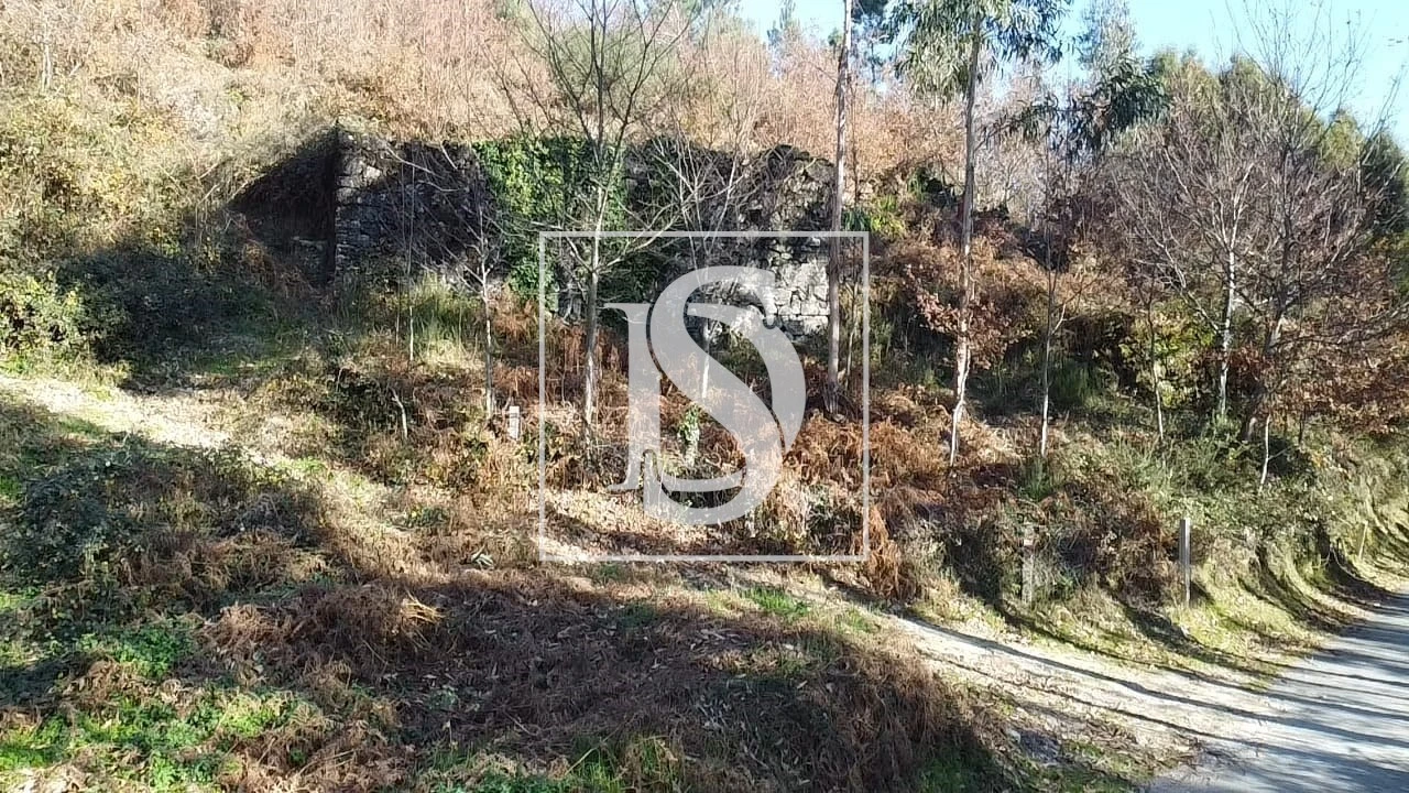 Terreno para Venda em Pinheiro Foto 12