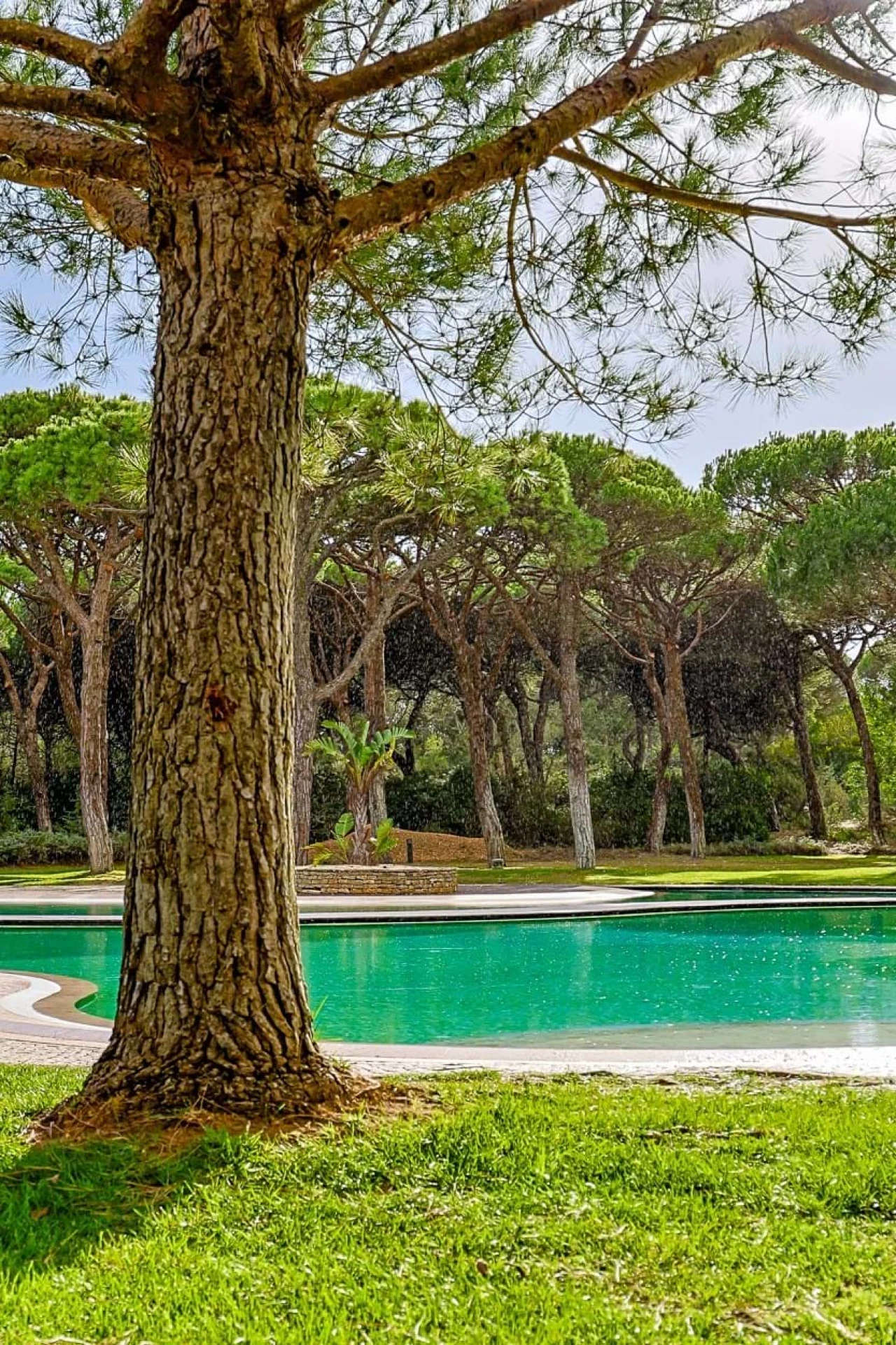 Apartamento T2 para Venda em Cascais e Estoril Foto 86