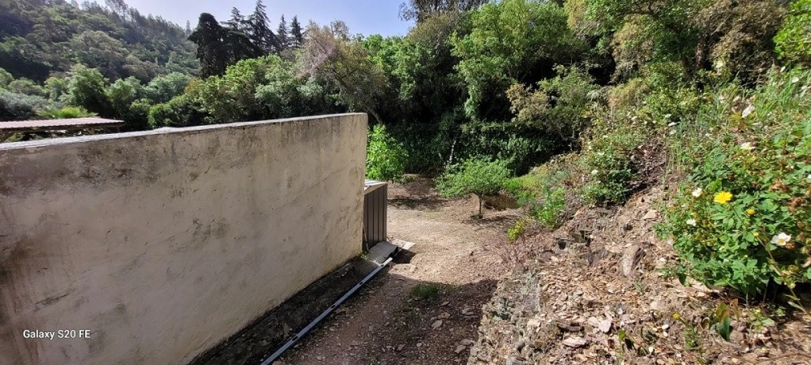 Terreno para Venda em São Teotónio Foto 9