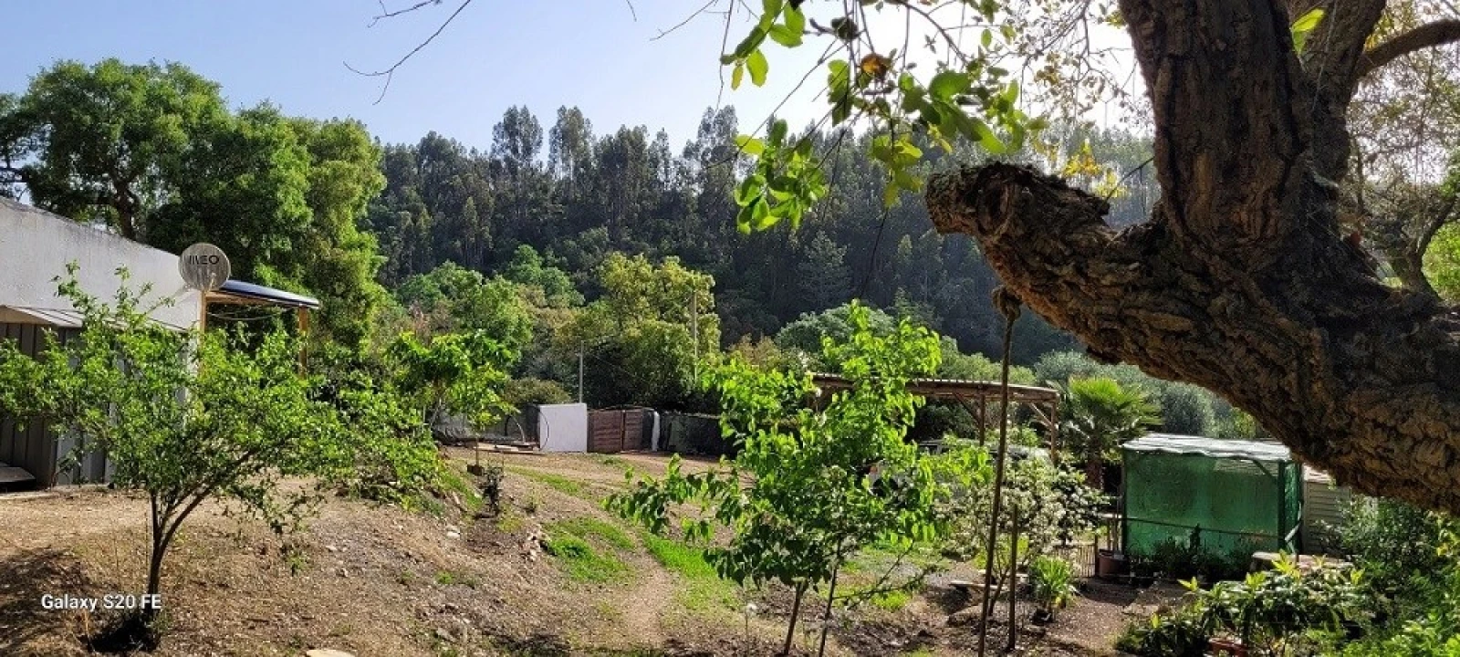 Terreno para Venda em São Teotónio Foto 7