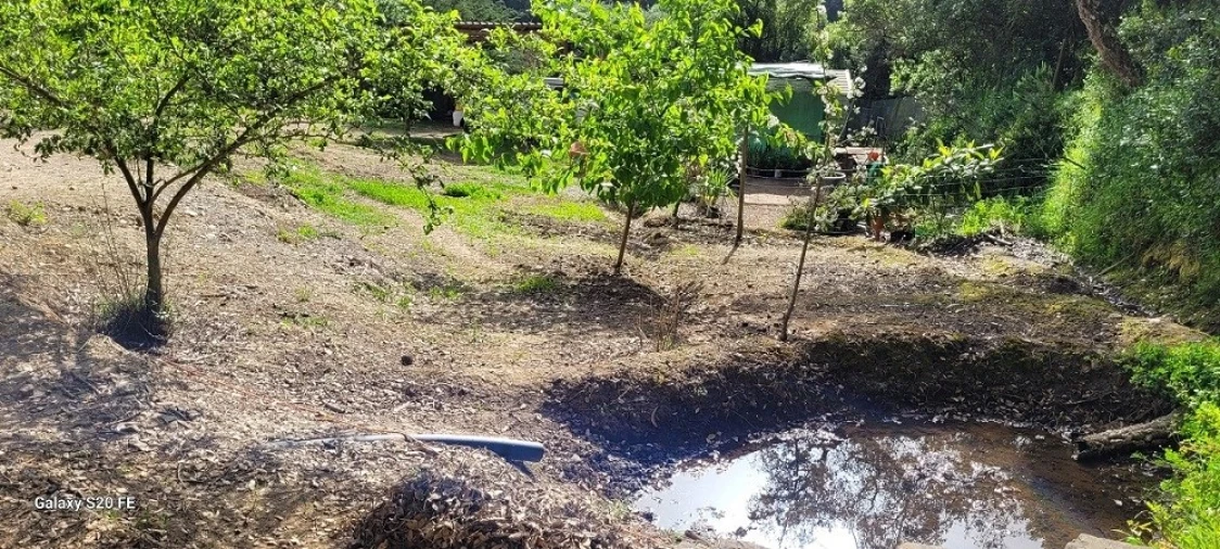 Terreno para Venda em São Teotónio Foto 8