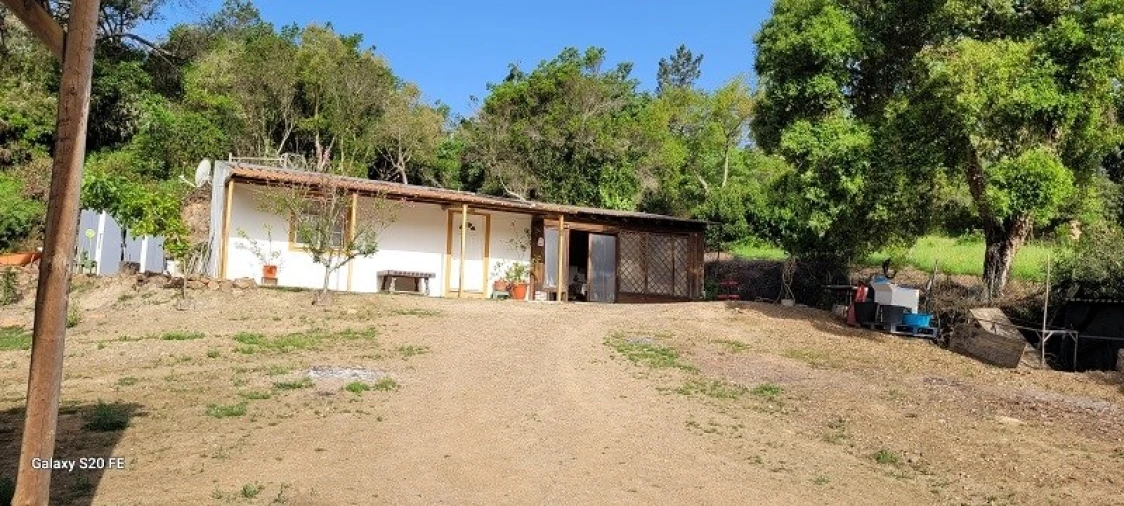 Terreno para Venda em São Teotónio Foto 3