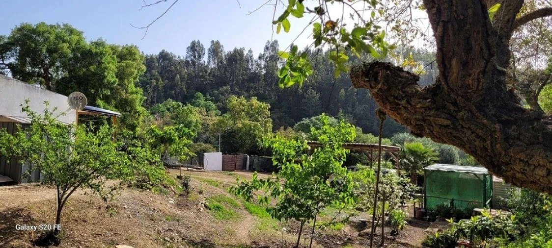 Terreno para Venda em São Teotónio Foto 7