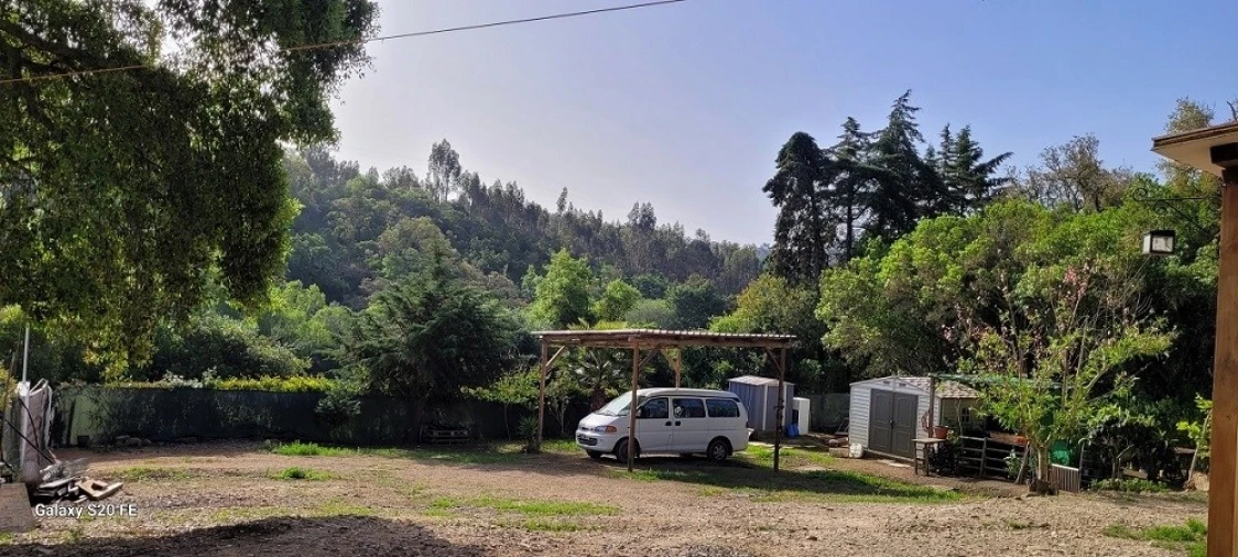 Terreno para Venda em São Teotónio Foto 4