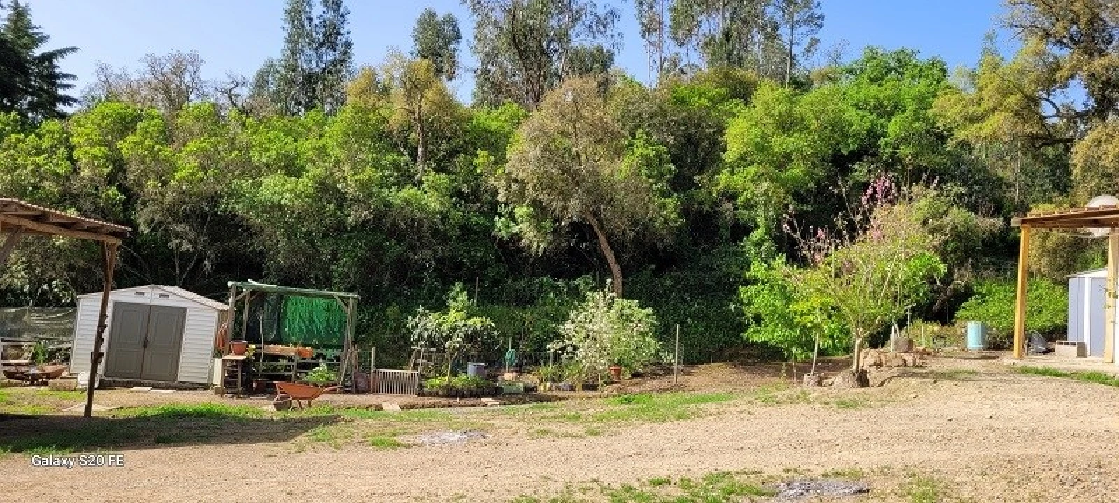 Terreno para Venda em São Teotónio Foto 12