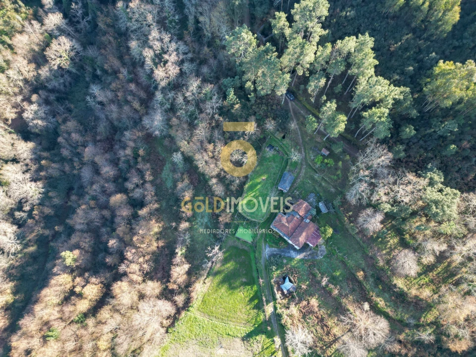 Quinta T0 para Venda em Fornelos Foto 14