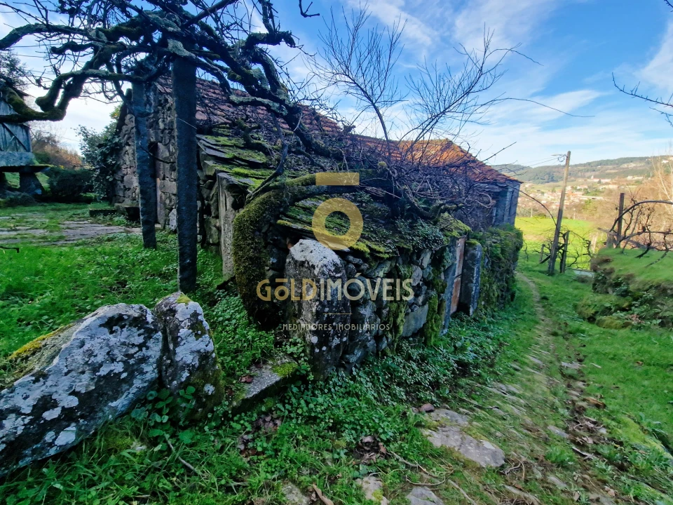 Quinta T0 para Venda em Fornelos Foto 12