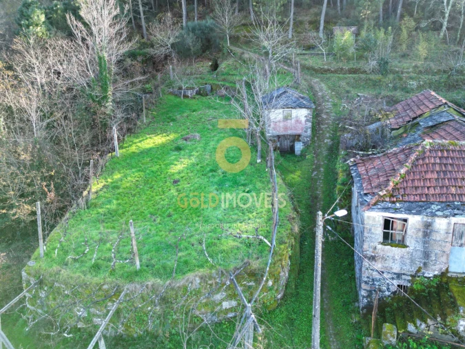 Quinta T0 para Venda em Fornelos Foto 3