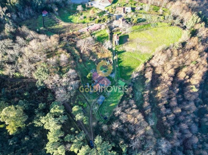 Quinta T0 para Venda em Fornelos Foto 16