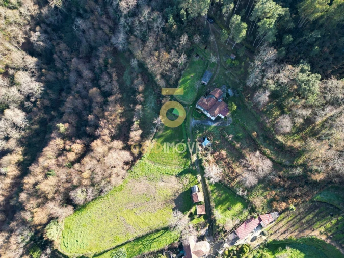 Quinta T0 para Venda em Fornelos Foto 17