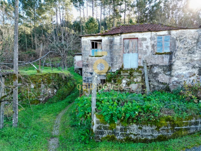 Quinta T0 para Venda em Fornelos Foto 6